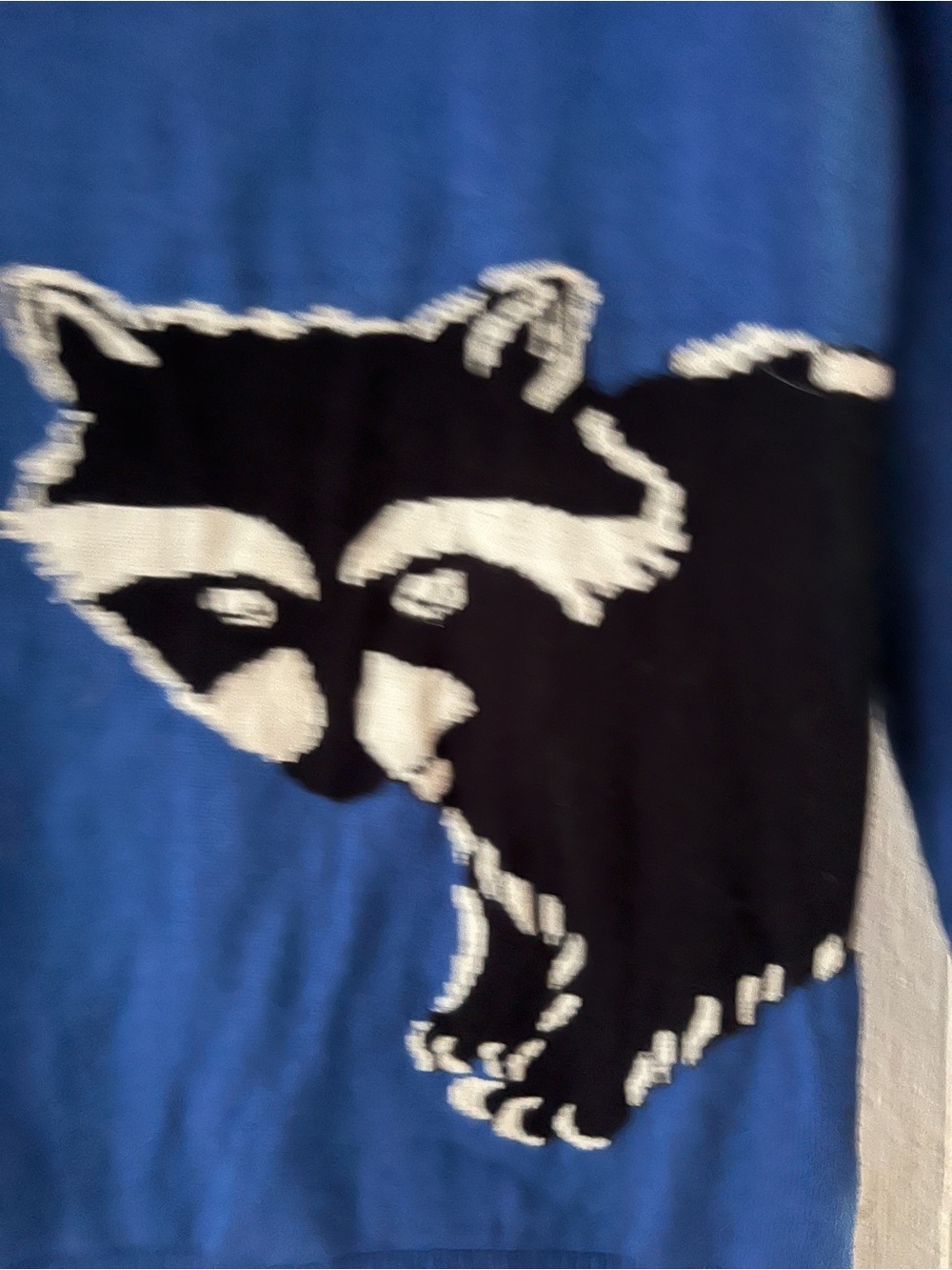 Kids Blue Raccoon Graphic Pajama Top - Cozy Sleepwear